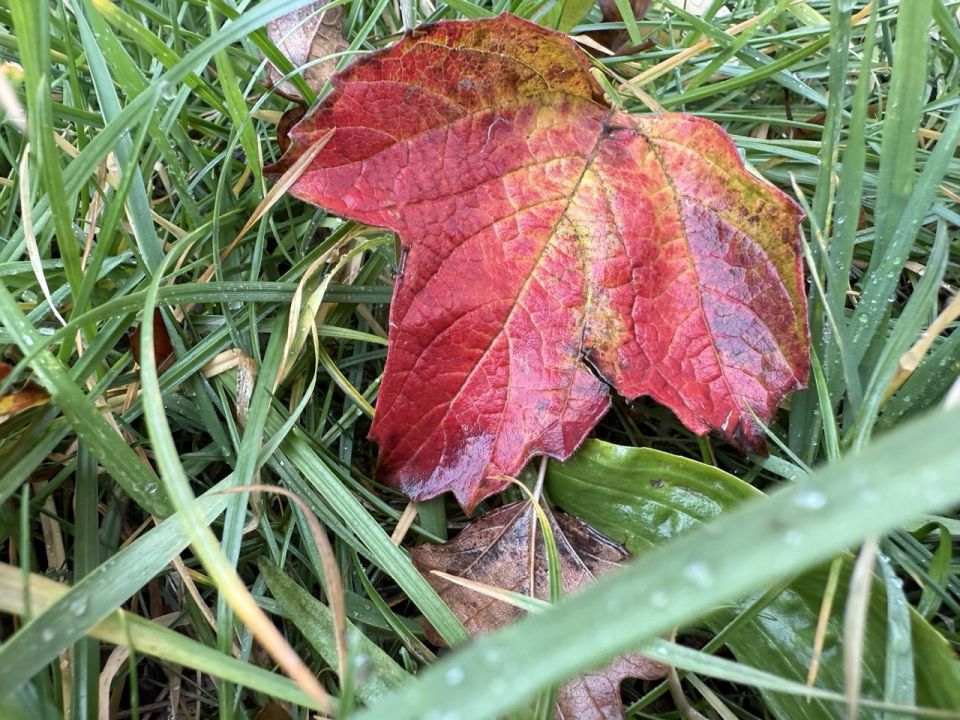 ������ ���� �� ������ ��������� � �� ���������� ������