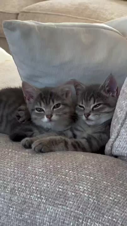 Доброе утро!. НОВЫЙ МЕЛИТОПОЛЬ