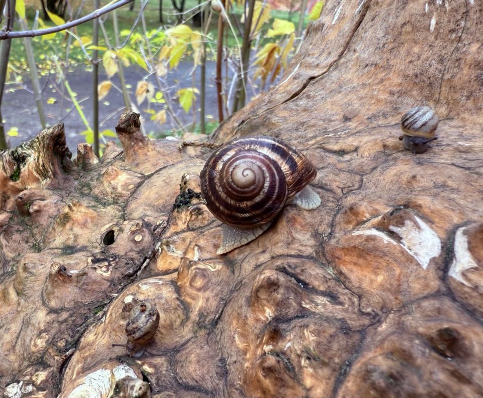 ������ ���� �� ������ ��������� � �� ���������� ������