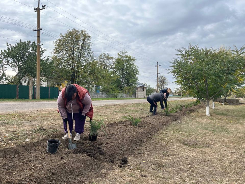 �������� ������ ����������� ��� ��������� �������� �����