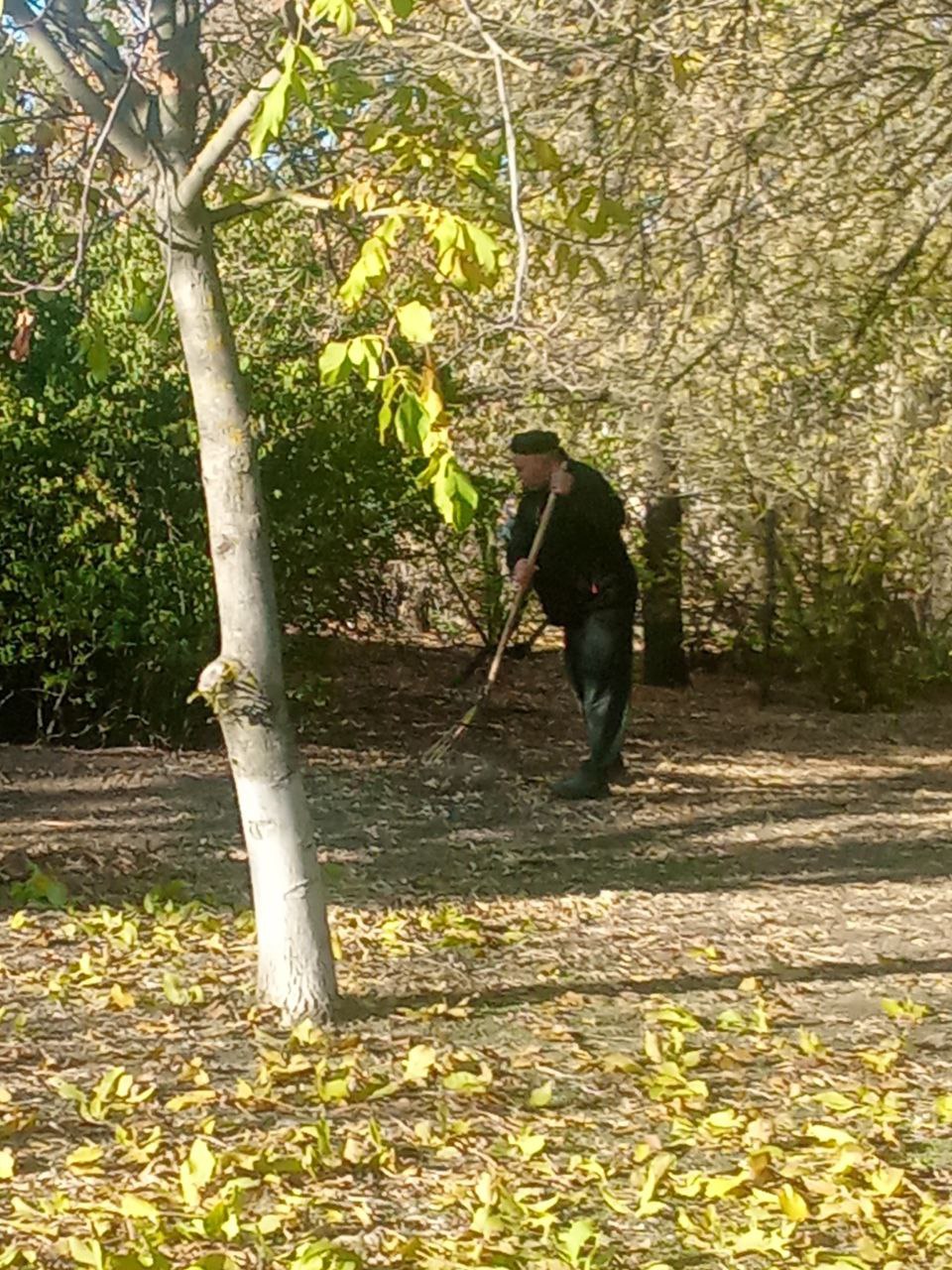 С заботой о героях. Сотрудники МБУ «Жилсервис» Мелитопольского муниципального округа провели работы по благоустройству территории вокруг памятника погибшим воинам в посёлке Трудовое