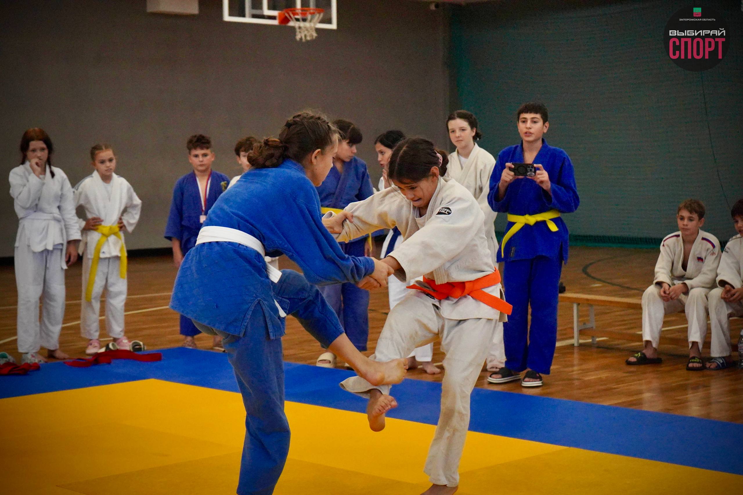 Турнир Запорожской области по дзюдо прошел в Мелитополе Турнир Запорожской области по дзюдо прошел в Мелитополе