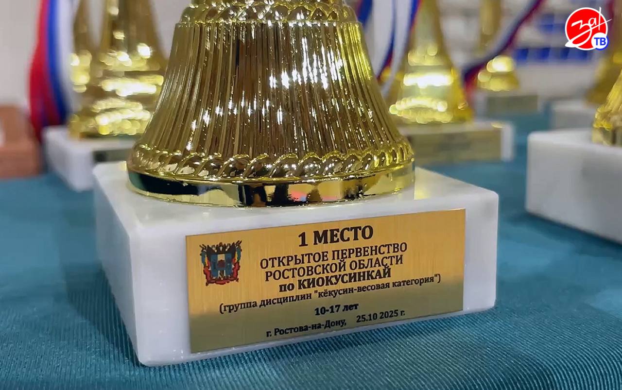 Юные каратисты из Мелитополя завоевали медали на Первенстве Ростовской области Юные каратисты из Мелитополя завоевали медали на Первенстве Ростовской области