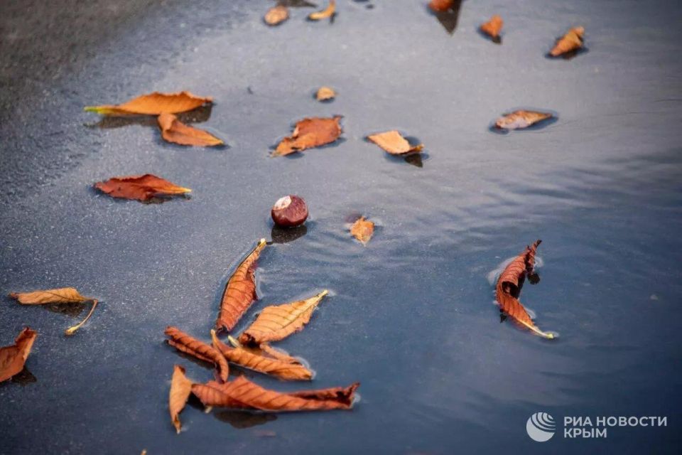 ������ �� ����� ����������� ������