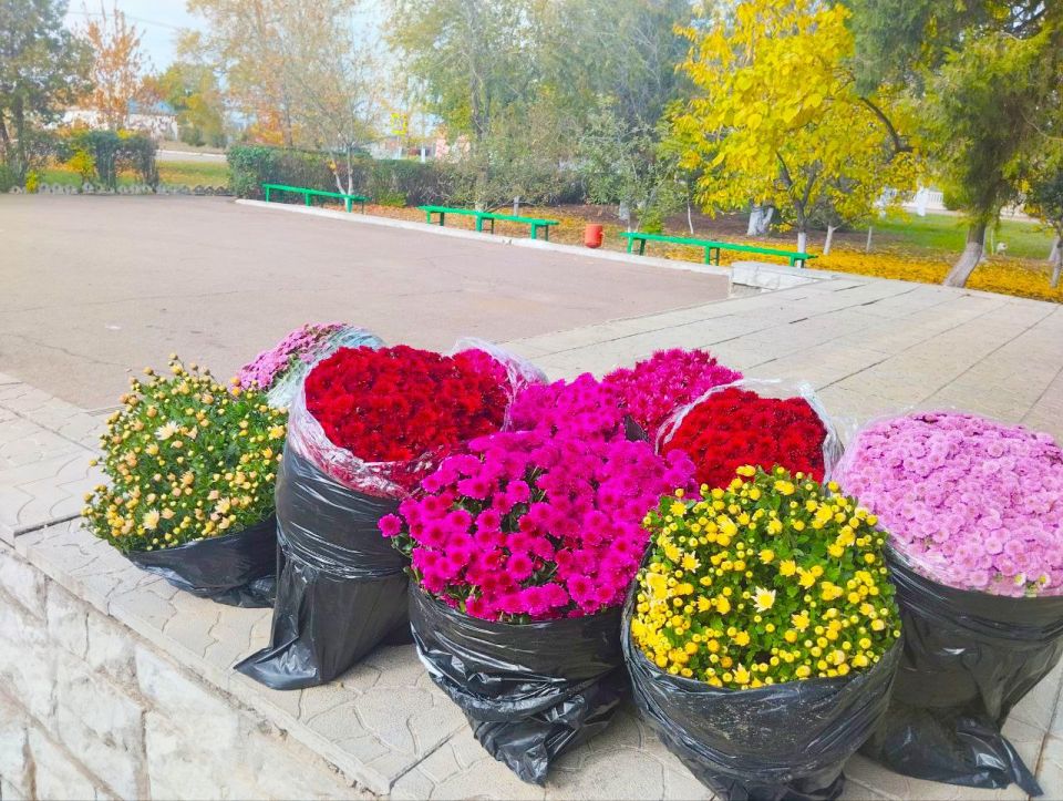 ��������������� ���������. � ���������� ��� ������������ ���� ��������� �� �������-���������� ����������� ���������� ����� ������� ������ ������ ������