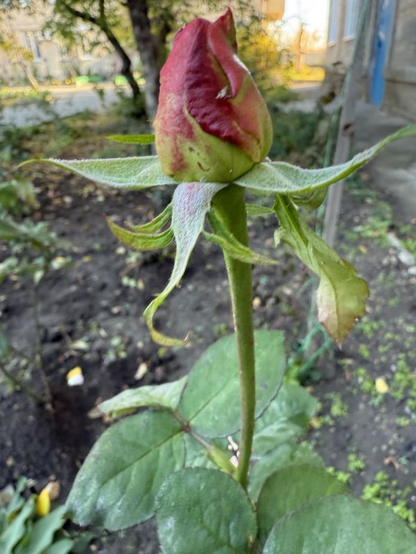 ������ ����! ������� ������� �� ����������!