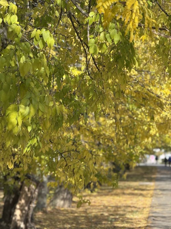 ������ ����! ������� ������� �� ����������!