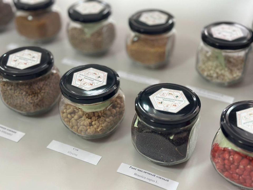 �������������� ����� � �����������: ��������� �������� ������������������� ��������� �����