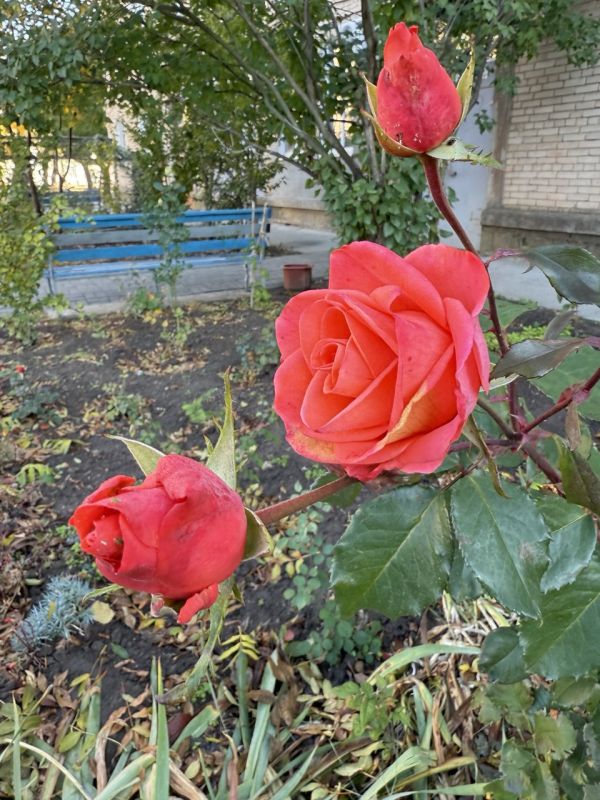 ������ ����! ������� ������� �� ����������!