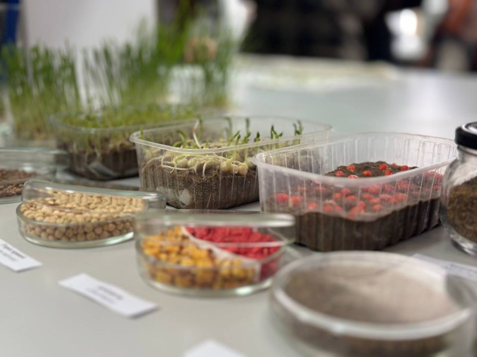 �������������� ����� � �����������: ��������� �������� ������������������� ��������� �����