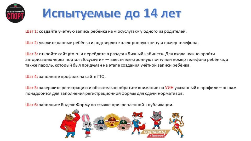 ������ �����: