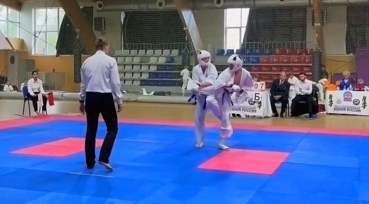 Юные каратисты из Мелитополя завоевали награды на Первенстве Ростовской области