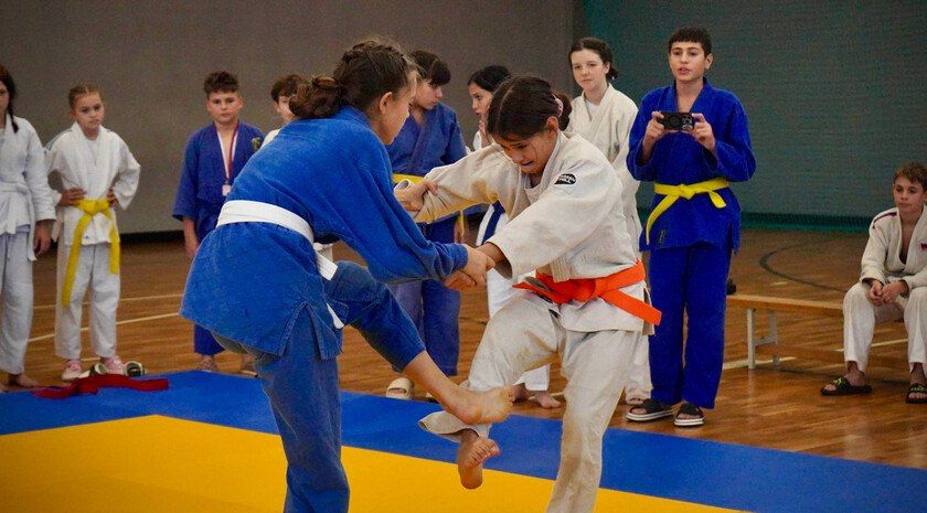 � ���������� ������ ������ ����������� ������� �� �����