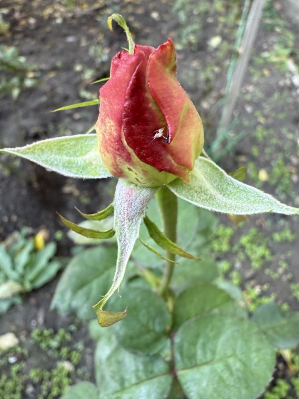 ������ ����! ������� ������� �� ����������!