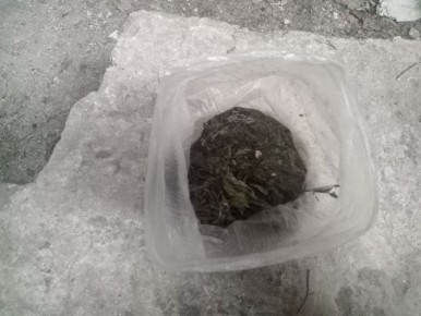 В Приазовском районе полицейские задержали подозреваемого в незаконном хранении наркотических средств