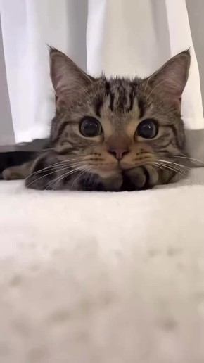 Доброе утро!. НОВЫЙ МЕЛИТОПОЛЬ