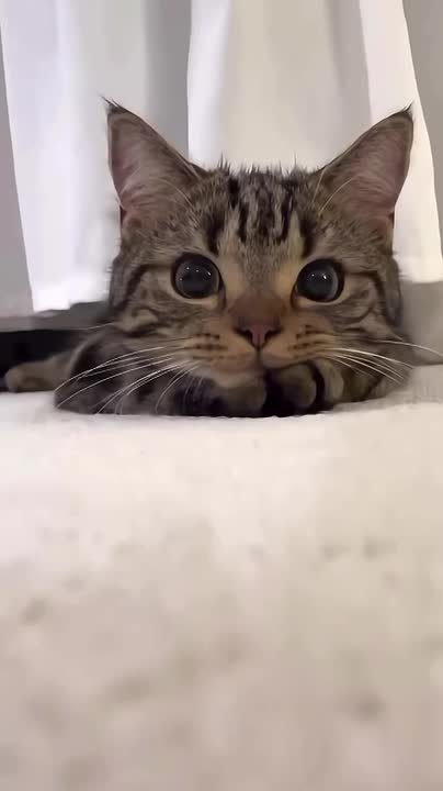 Доброе утро!. НОВЫЙ МЕЛИТОПОЛЬ