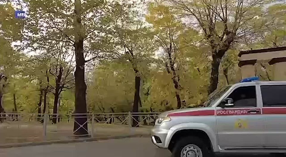 29 ������� ���������������� ������ ���������� �������� ���� ���������������� ��������