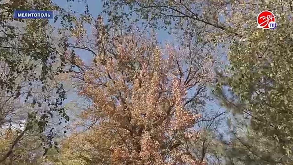 � �������������� ��������� ����� �������� � ������ ����� �������� ���������� ���������� � ����