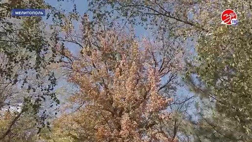 В Мелитопольском городском парке культуры и отдыха имени Горького стартовала подготовка к зиме