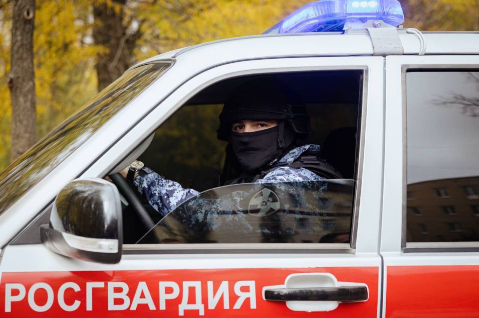 29 ������� ���������������� ������ ���������� �������� ���� ���������������� ��������