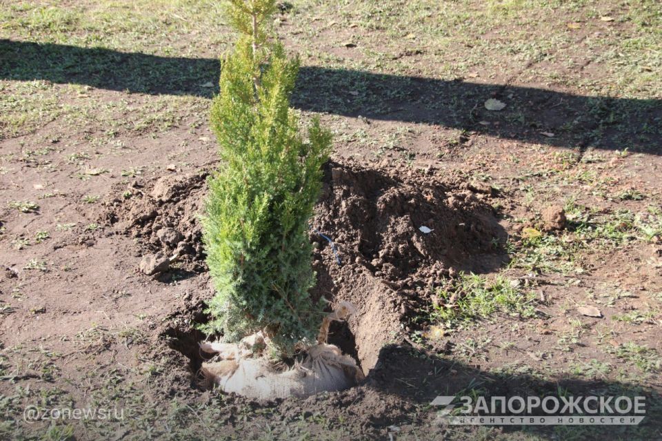 � ���������� �������� ����� 60 ������� �������� � ������ �� ����������� ��������� ������� ������������ � ����� ������