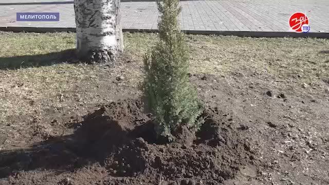 ����������� ���������������� ���������� �������� ������� �� ������������ ������������� ����������