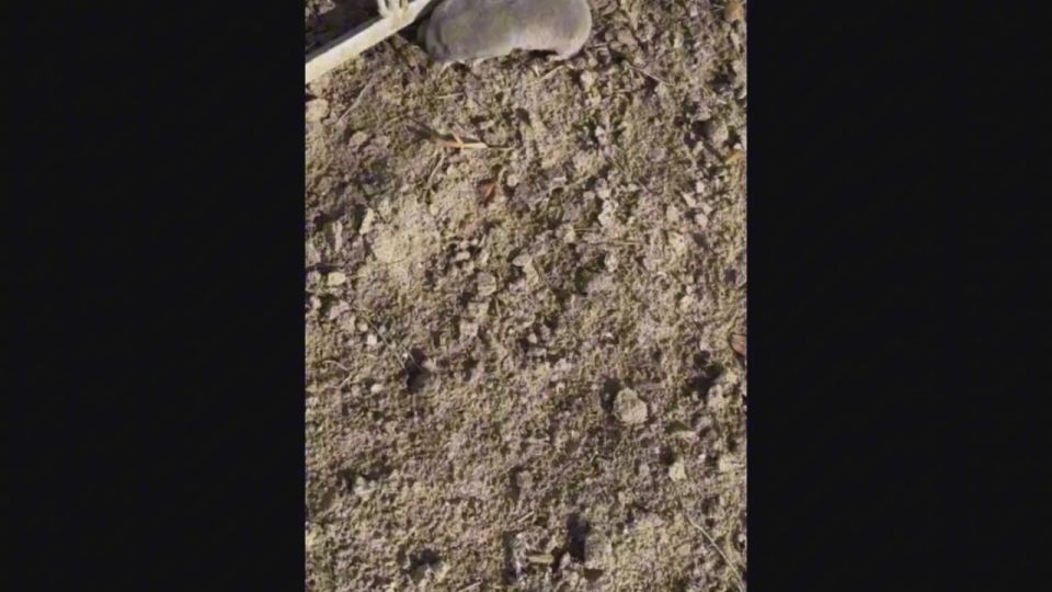 ������ ����! ���� ���������� ���� �� ��������������� ������ �������� ��� �����!