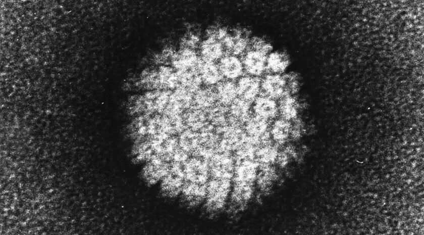 ����� ��������� ������ � �������