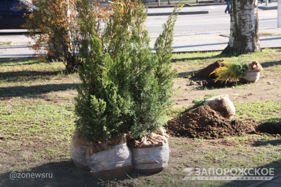 � ���������� �������� ����� 60 ������� �������� � ������ �� ����������� ��������� ������� ������������ � ����� ������