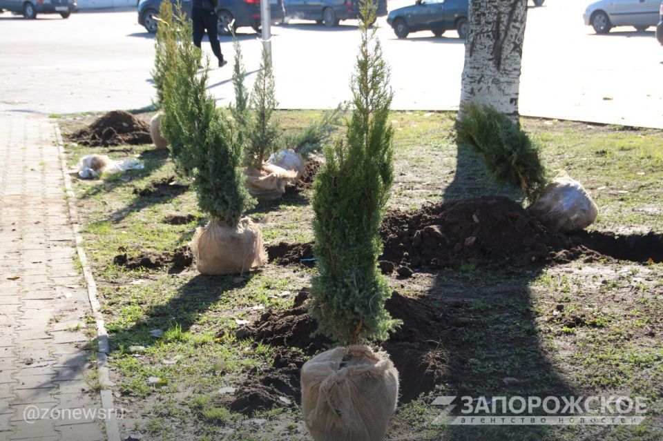 � ���������� �������� ����� 60 ������� �������� � ������ �� ����������� ��������� ������� ������������ � ����� ������