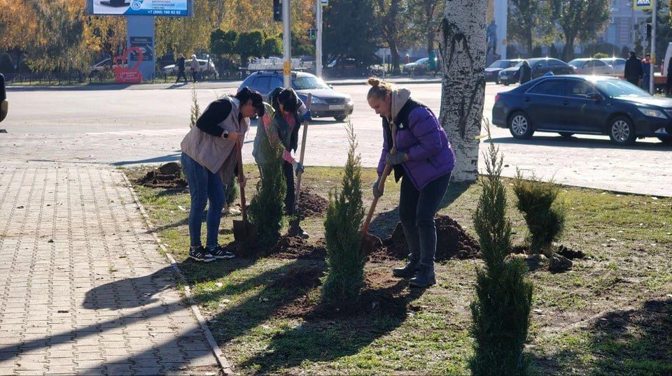 � ������ ���������� �������� ������������ �����