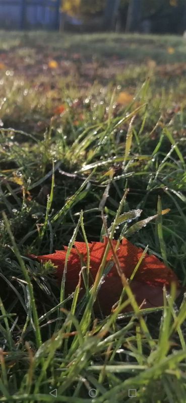 ������ ����! ������������ ����������� �������, ������� �������� ��������� ��������� �� ���� �� �. ���������!