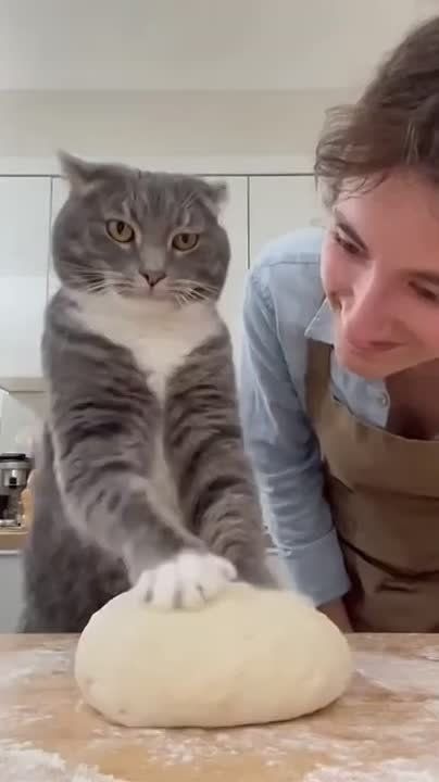 ������ ����!. ����� ����������