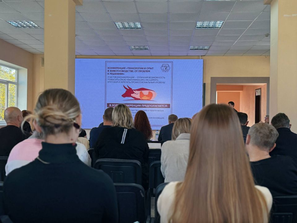 � ���������� �������� �������� �������������� � ����������� �� ����������� ��������� �������