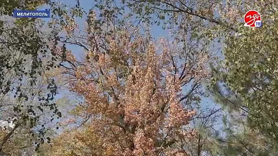 � �������������� ��������� ����� �������� � ������ ����� �������� ��� �������� ���������� � ����