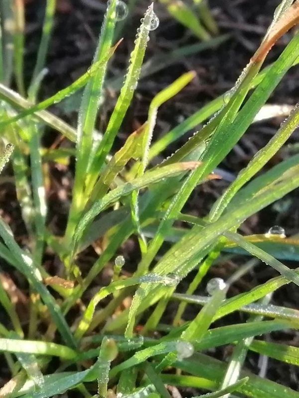 ������ ����! ������������ ����������� �������, ������� �������� ��������� ��������� �� ���� �� �. ���������!