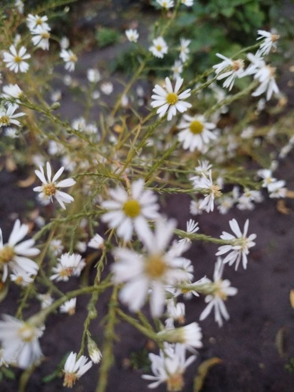 ������ ���� �� ������������ ���������������� ������ � � ������ � ������� ����������� �� ����� ���������� �����!