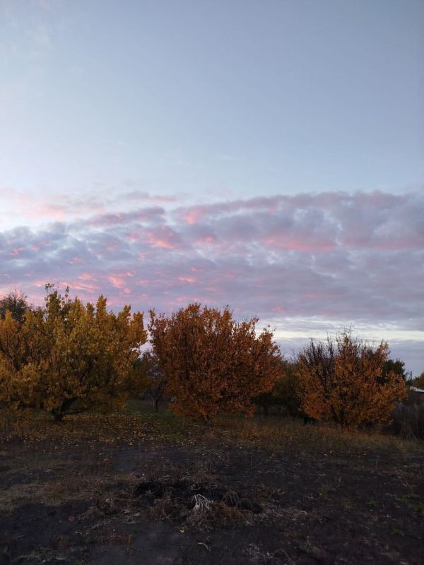 ������ ���� �� ������������ ���������������� ������ � � ������ � ������� ����������� �� ����� ���������� �����!