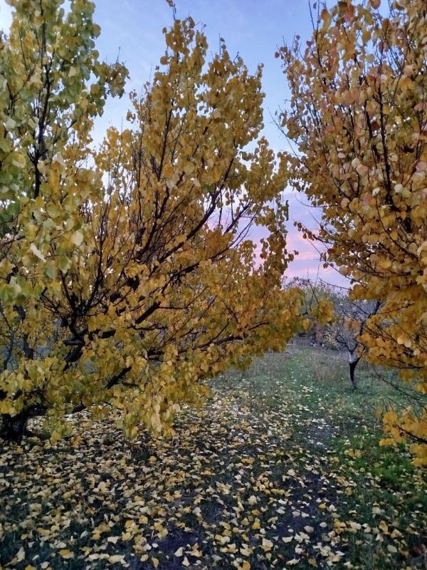 ������ ���� �� ������������ ���������������� ������ � � ������ � ������� ����������� �� ����� ���������� �����!