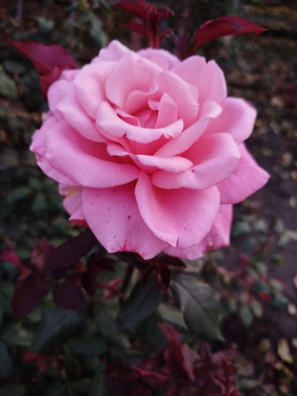 ������ ���� �� ������������ ���������������� ������ � � ������ � ������� ����������� �� ����� ���������� �����!