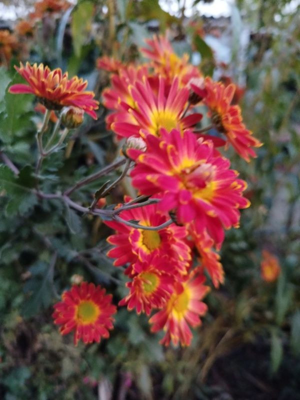 ������ ���� �� ������������ ���������������� ������ � � ������ � ������� ����������� �� ����� ���������� �����!