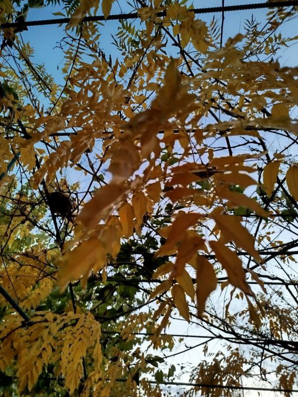 ������ ���� �� ������������ ���������������� ������ � � ������ � ������� ����������� �� ����� ���������� �����!