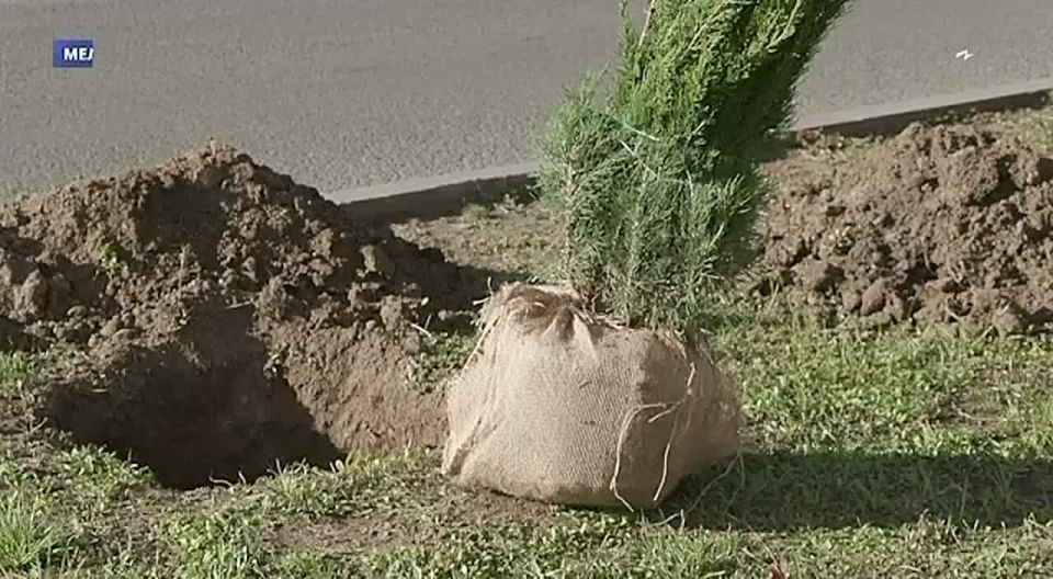 �������� � ���������� ������������� ��������������� ���������� ������ ������� ����� �� ���������� ������