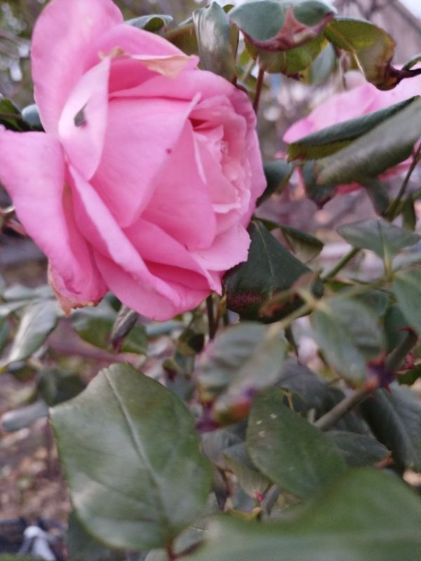 ������ ���� �� ������������ ���������������� ������ � � ������ � ������� ����������� �� ����� ���������� �����!