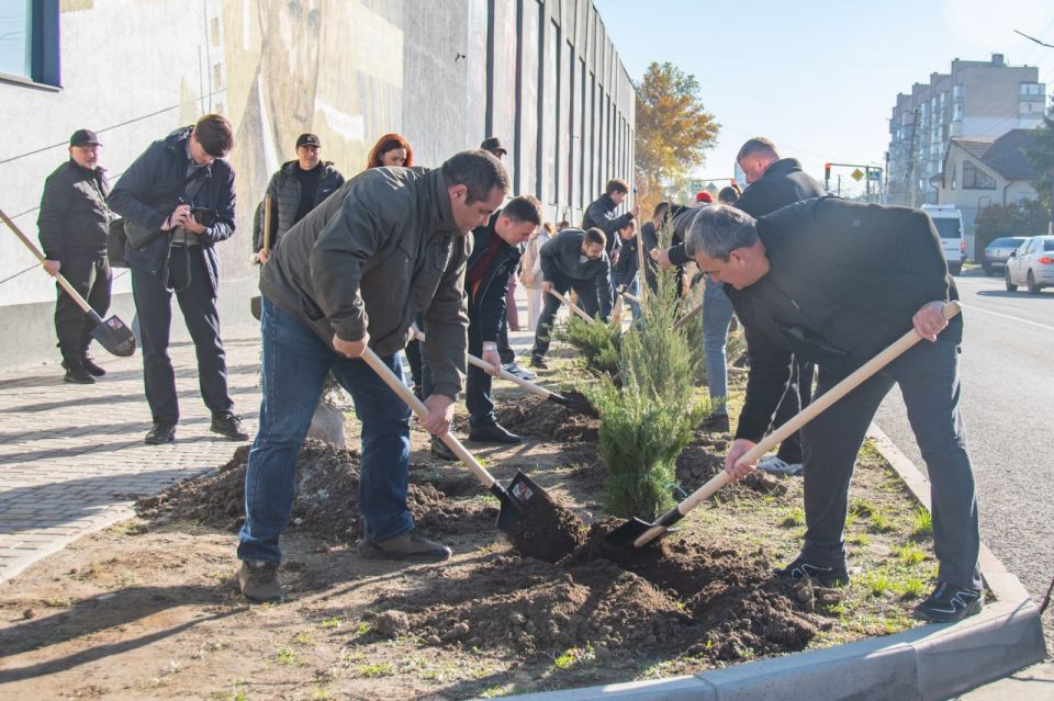 ������ ��������: �� ��� ��������� �������� �������� ������� � ��������������� �����