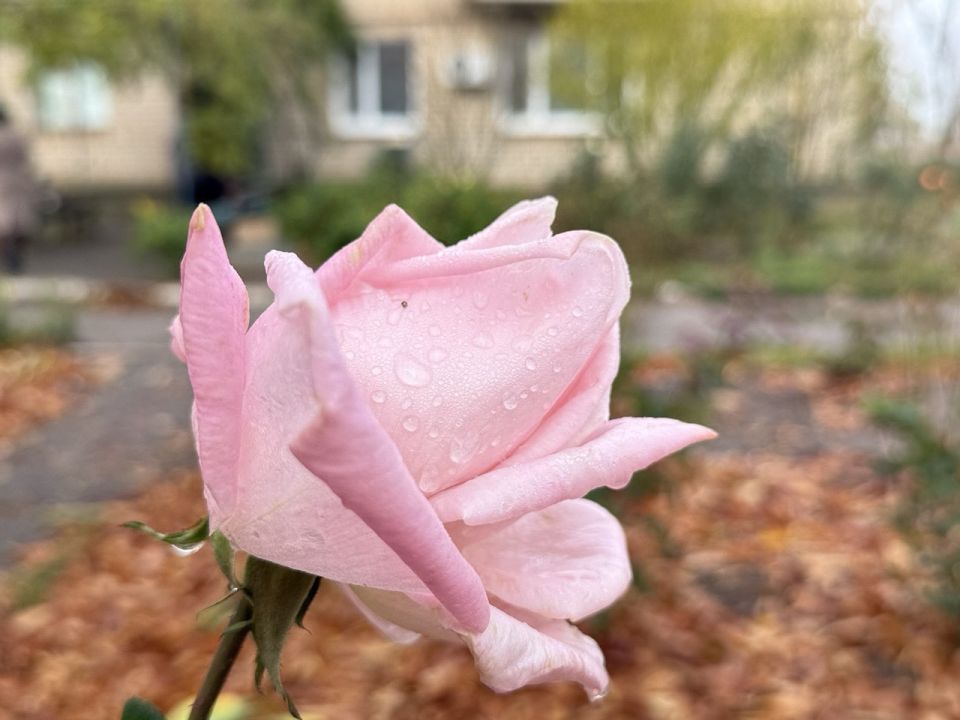 ������ ����!. ������� � ������, ������ ��������!