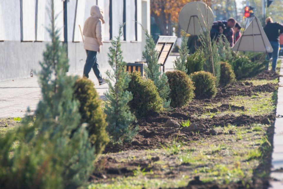 ������ ��������: �� ��� ��������� �������� �������� ������� � ��������������� �����