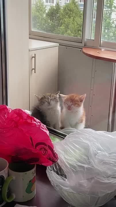 ������ ����!. ����� ����������