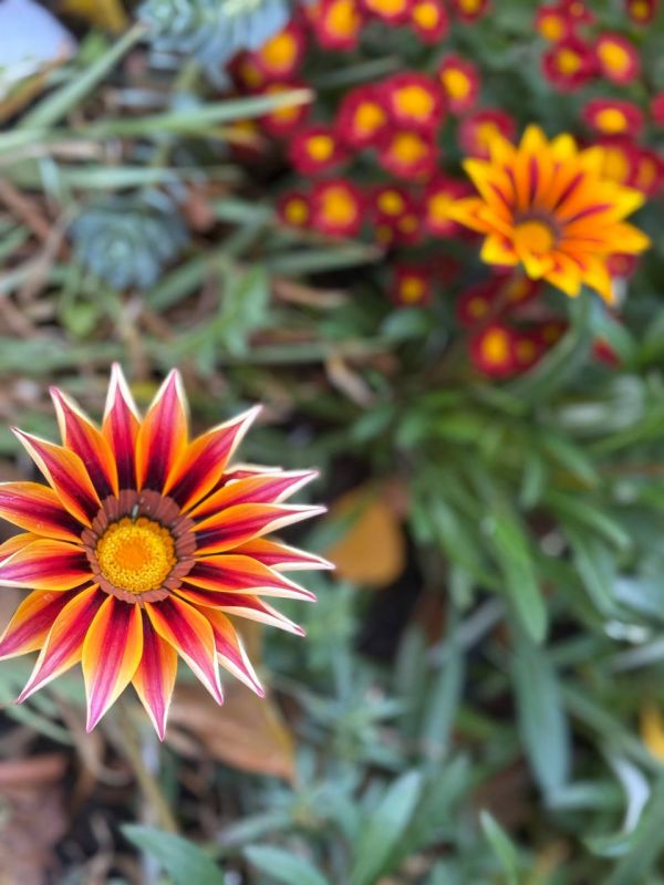 ������ ����! ������� ��������, ���� � �����������